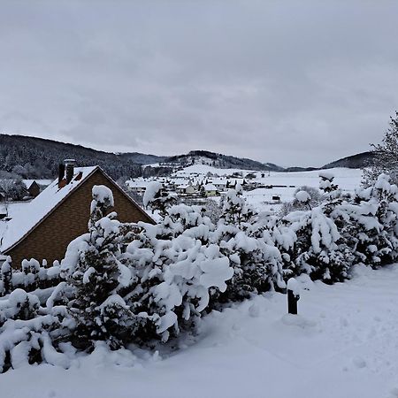 Sauerland-Tinyworld - Ihr Tiny Ferienhaus Im Sauerland Am Diemelsee Exteriér fotografie