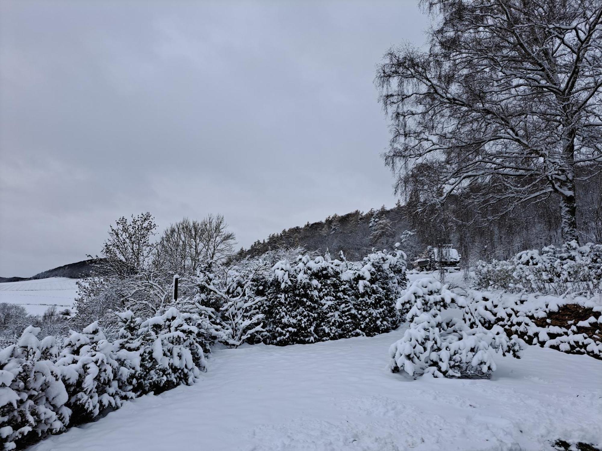 Sauerland-Tinyworld - Ihr Tiny Ferienhaus Im Sauerland Am Diemelsee Exteriér fotografie
