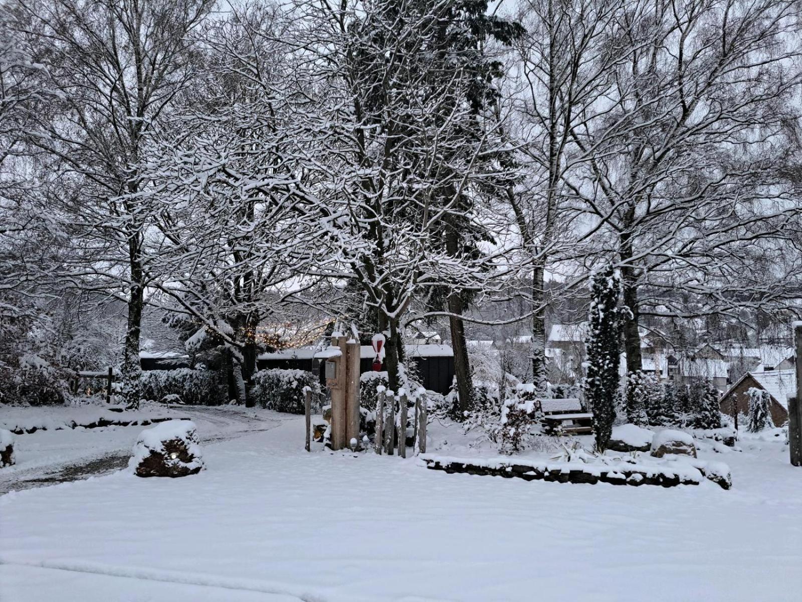 Sauerland-Tinyworld - Ihr Tiny Ferienhaus Im Sauerland Am Diemelsee Exteriér fotografie