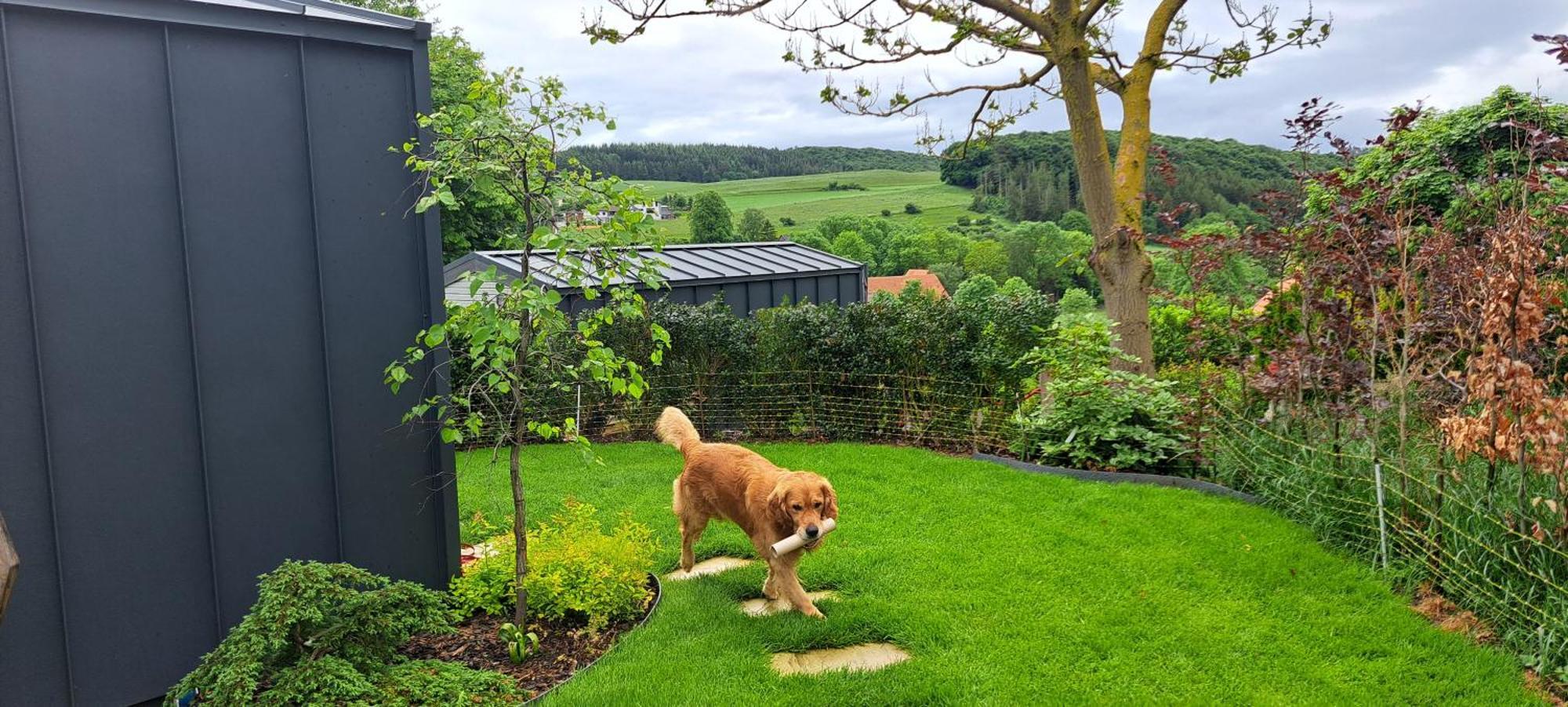 Sauerland-Tinyworld - Ihr Tiny Ferienhaus Im Sauerland Am Diemelsee Exteriér fotografie