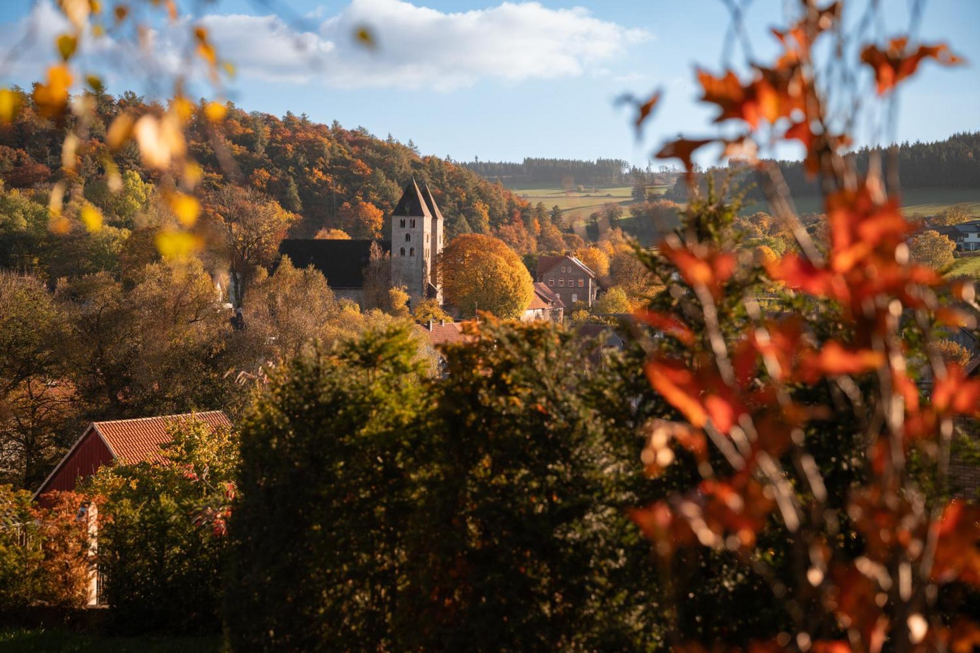 Sauerland-Tinyworld - Ihr Tiny Ferienhaus Im Sauerland Am Diemelsee Exteriér fotografie