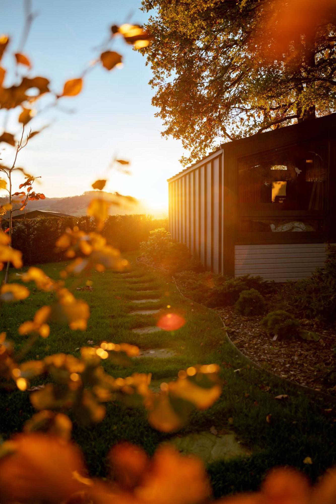 Sauerland-Tinyworld - Ihr Tiny Ferienhaus Im Sauerland Am Diemelsee Exteriér fotografie