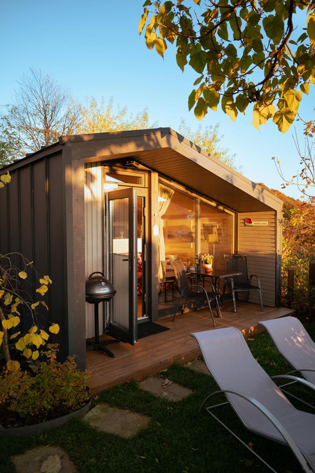 Sauerland-Tinyworld - Ihr Tiny Ferienhaus Im Sauerland Am Diemelsee Exteriér fotografie