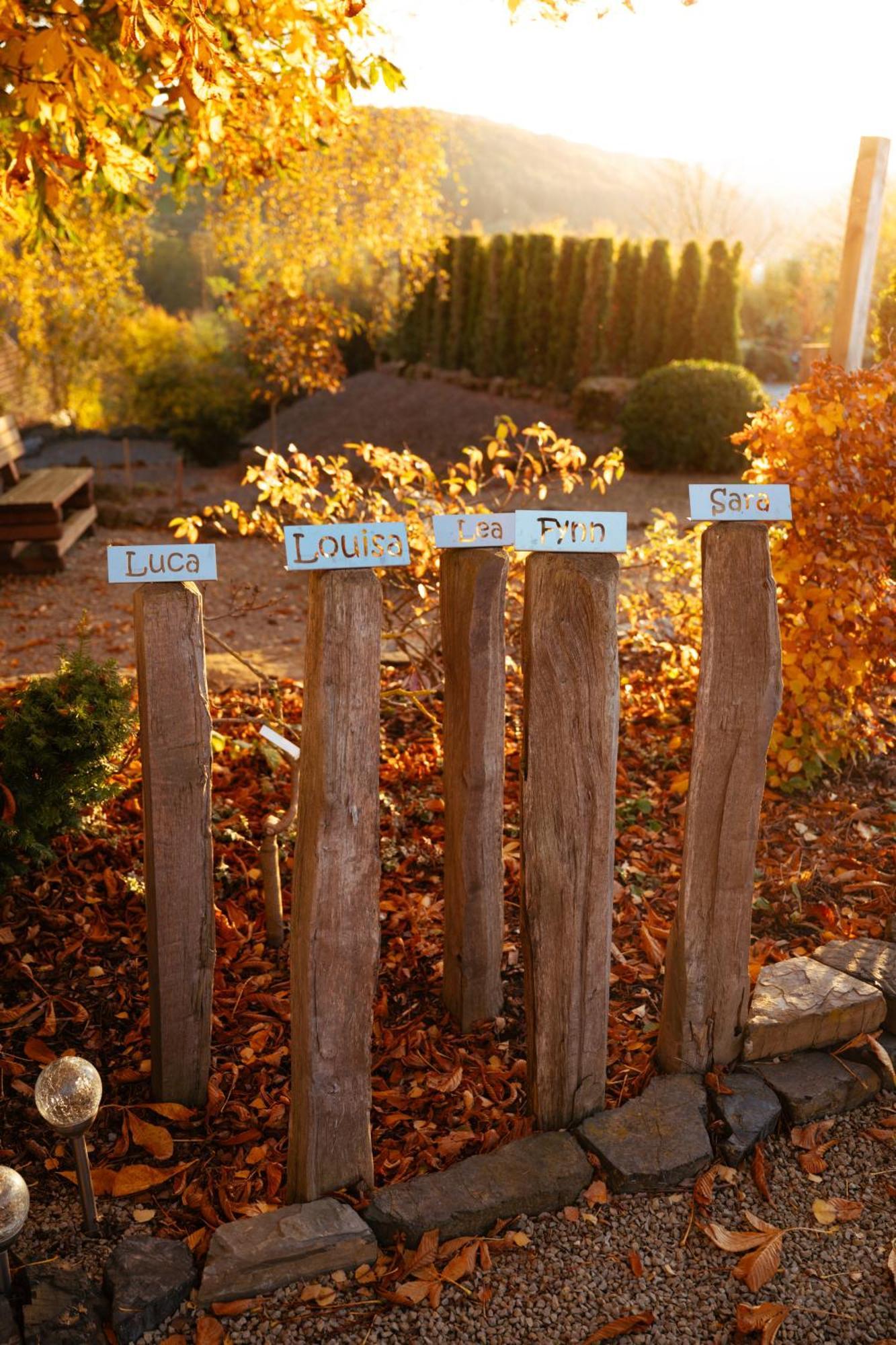 Sauerland-Tinyworld - Ihr Tiny Ferienhaus Im Sauerland Am Diemelsee Exteriér fotografie