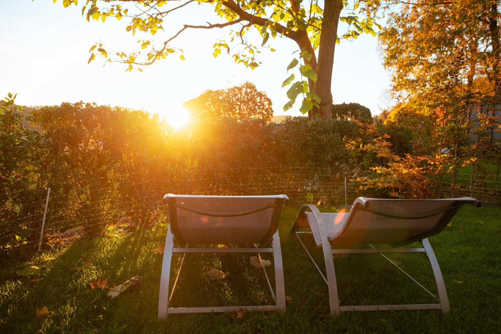 Sauerland-Tinyworld - Ihr Tiny Ferienhaus Im Sauerland Am Diemelsee Exteriér fotografie
