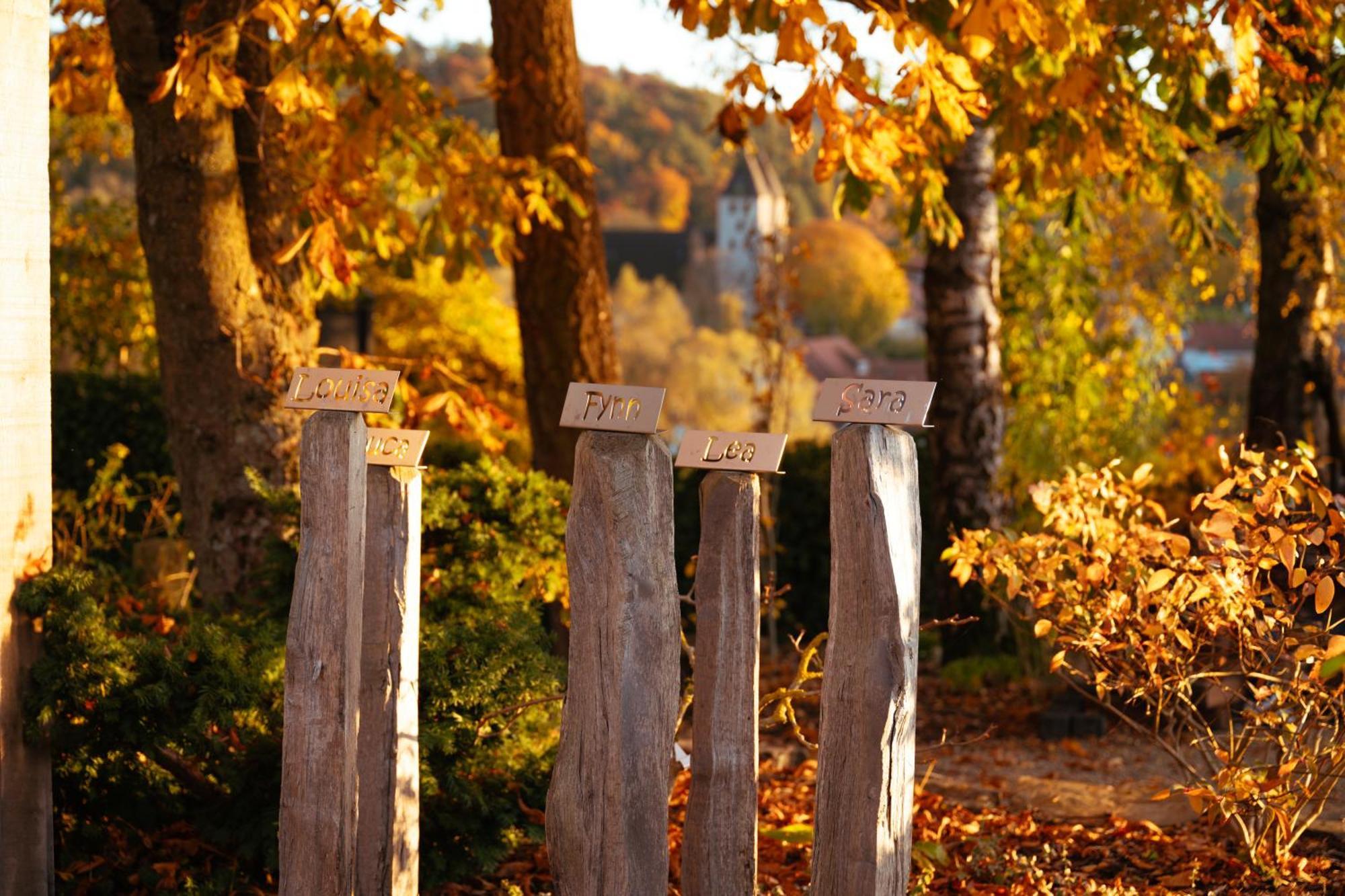 Sauerland-Tinyworld - Ihr Tiny Ferienhaus Im Sauerland Am Diemelsee Exteriér fotografie