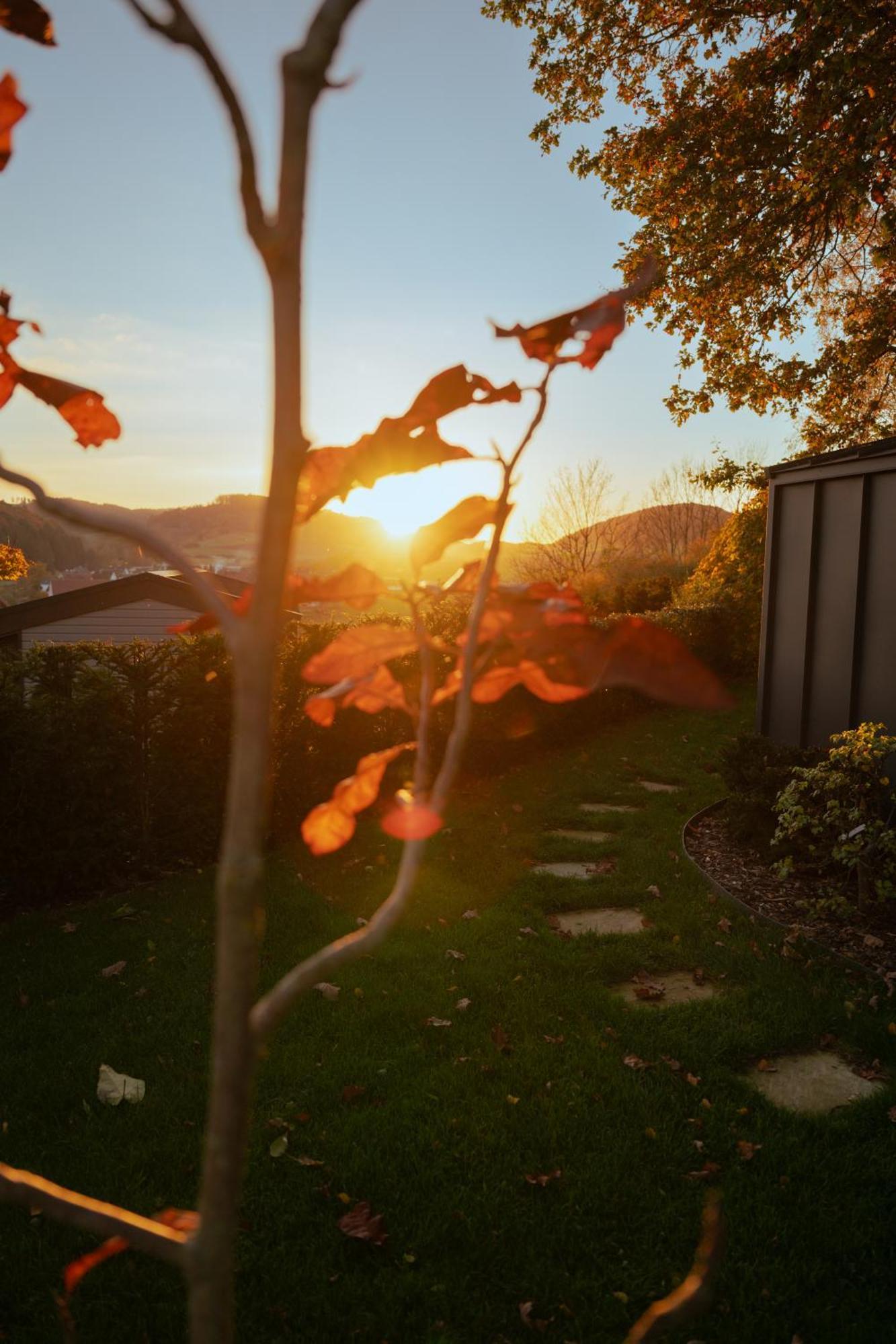 Sauerland-Tinyworld - Ihr Tiny Ferienhaus Im Sauerland Am Diemelsee Exteriér fotografie