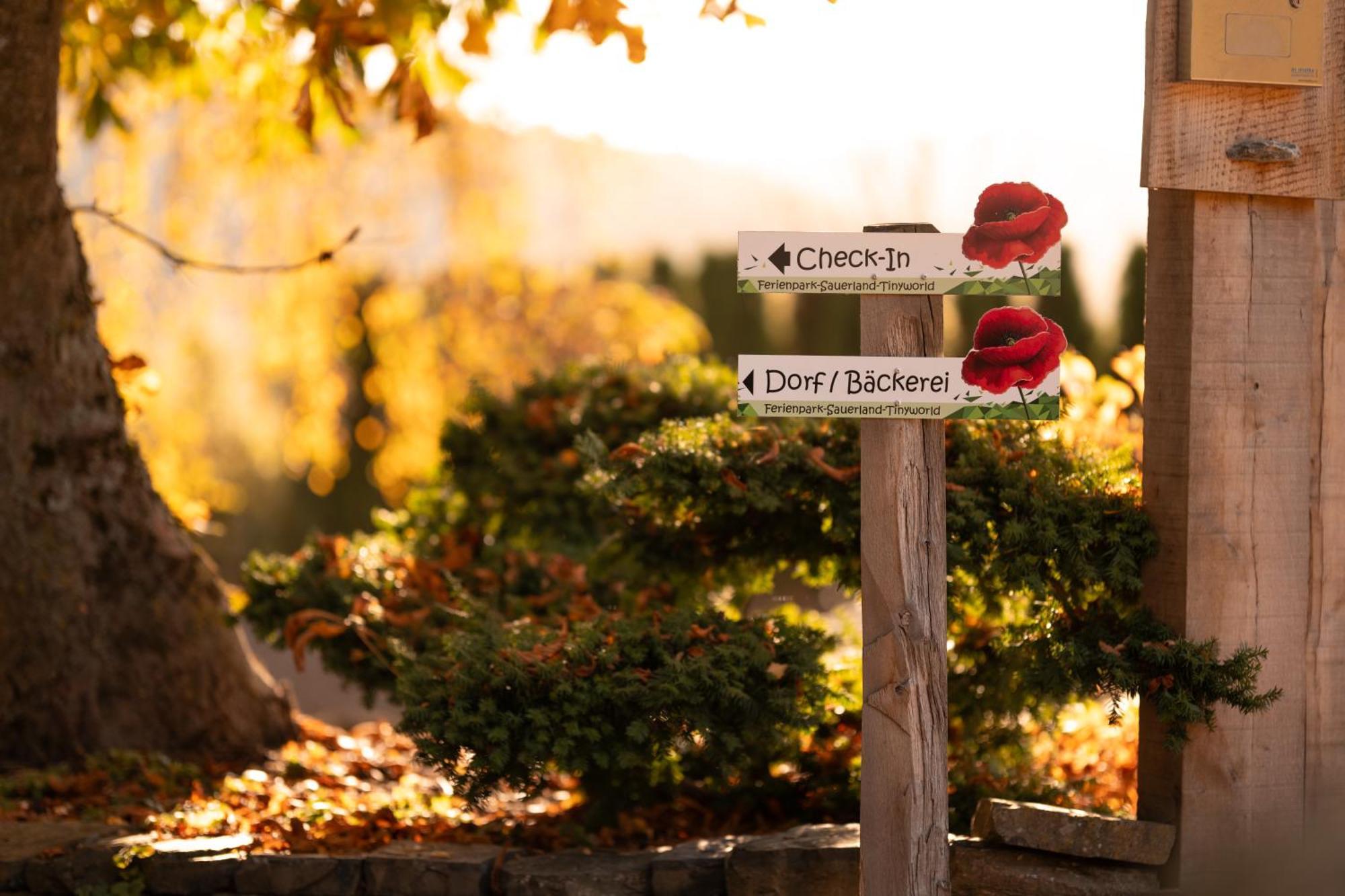 Sauerland-Tinyworld - Ihr Tiny Ferienhaus Im Sauerland Am Diemelsee Exteriér fotografie