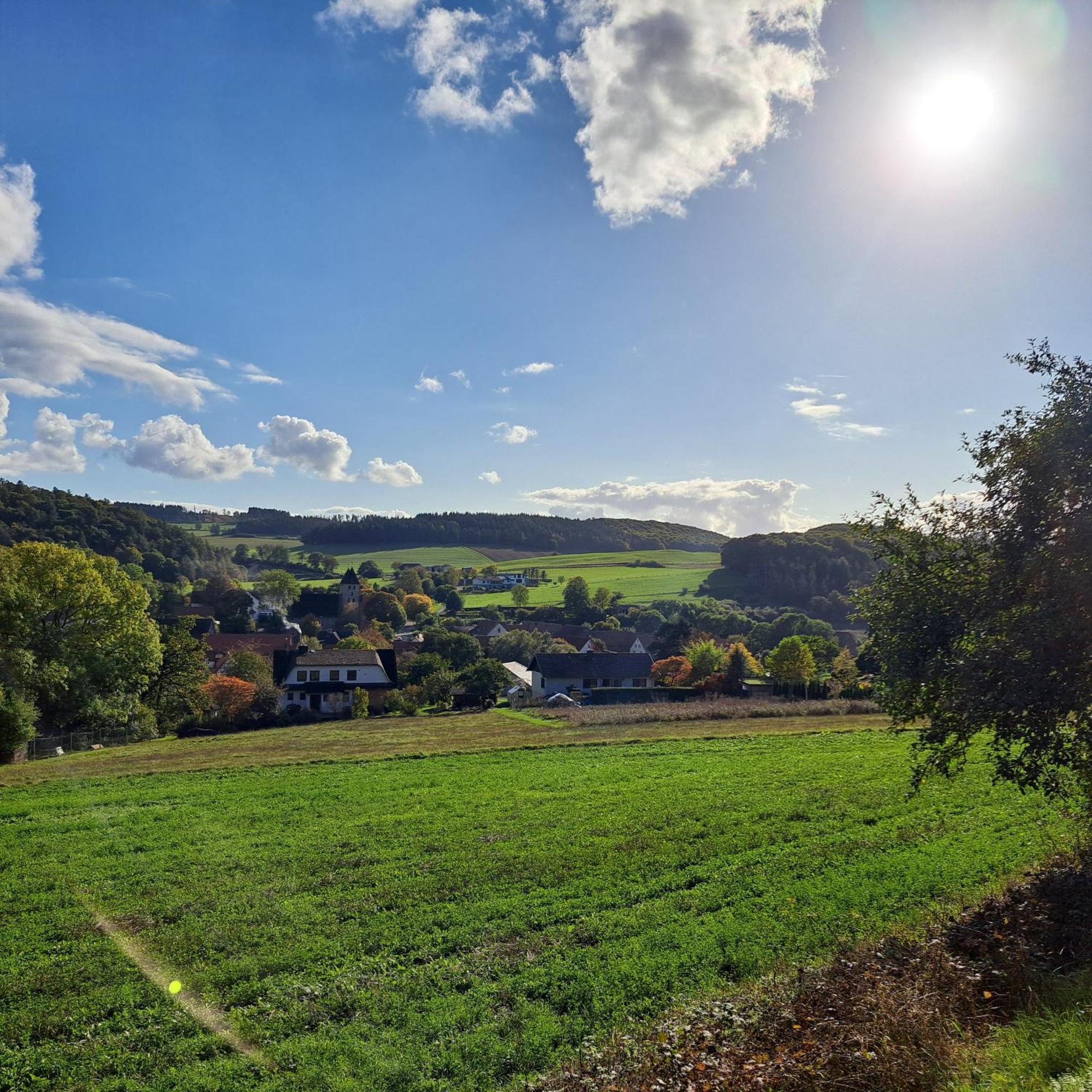 Sauerland-Tinyworld - Ihr Tiny Ferienhaus Im Sauerland Am Diemelsee Exteriér fotografie