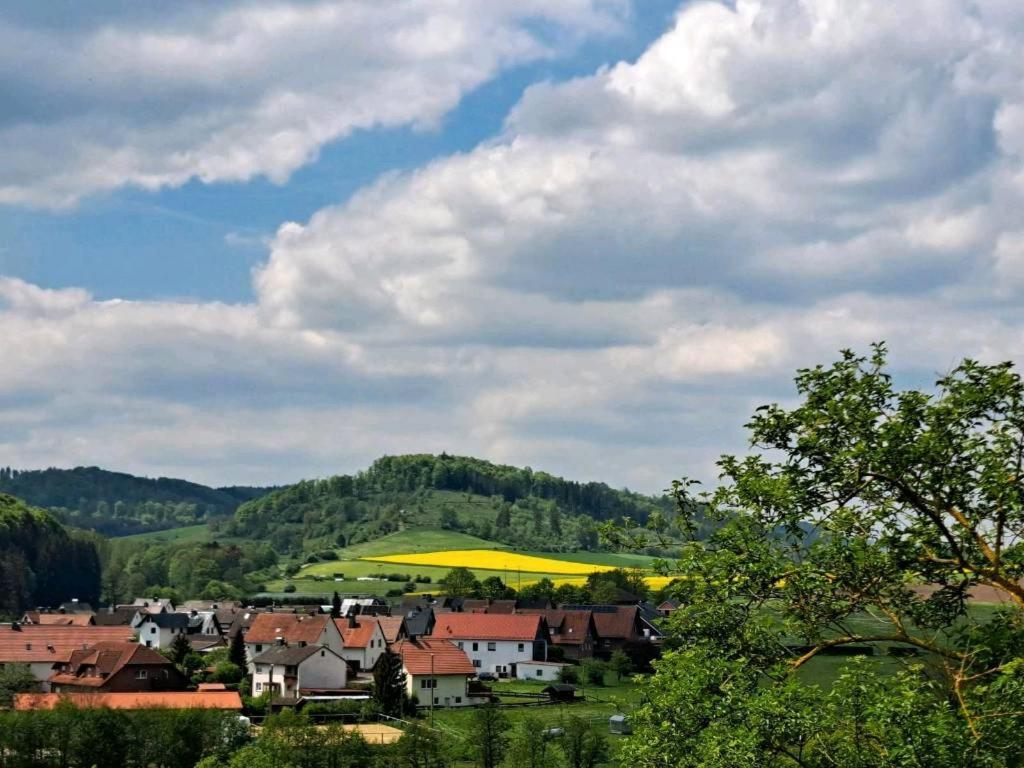 Sauerland-Tinyworld - Ihr Tiny Ferienhaus Im Sauerland Am Diemelsee Exteriér fotografie