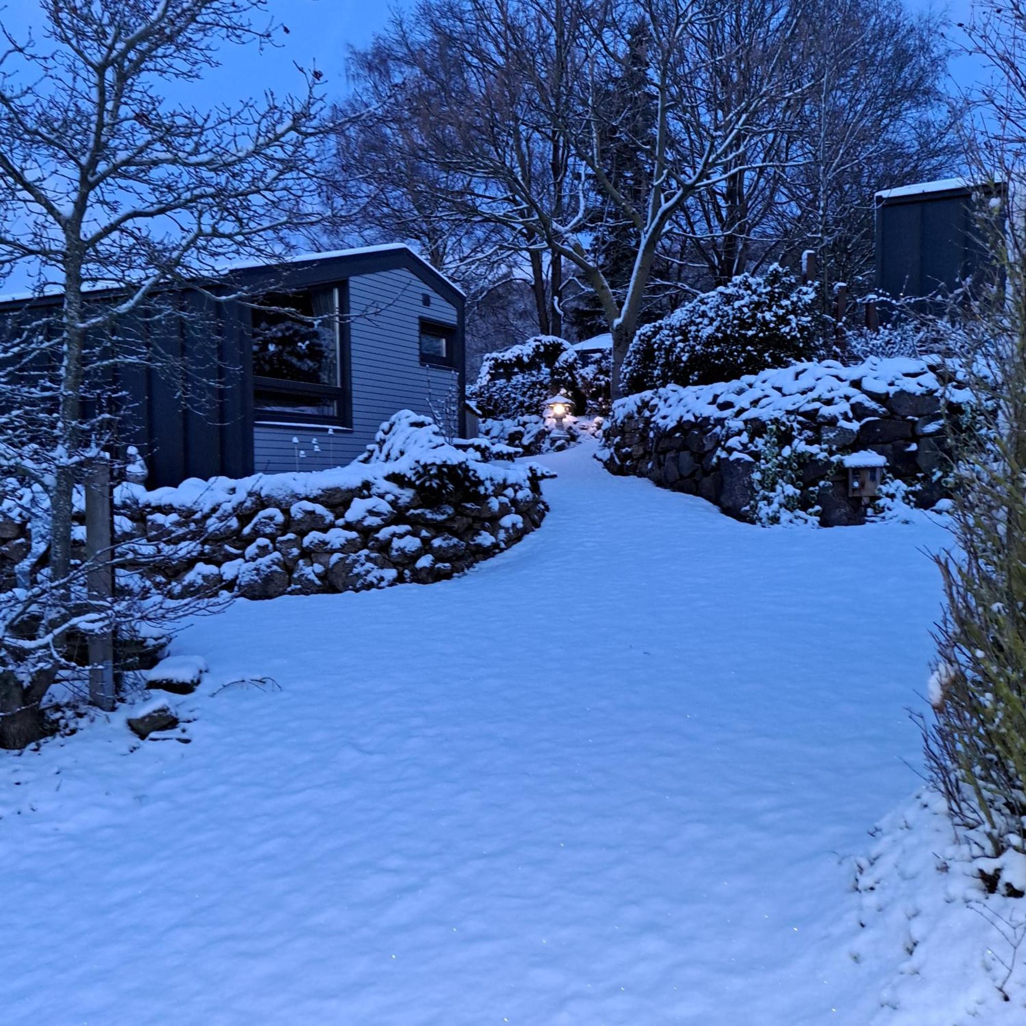 Sauerland-Tinyworld - Ihr Tiny Ferienhaus Im Sauerland Am Diemelsee Exteriér fotografie